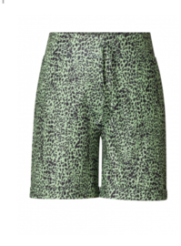 Es&Sy travel korte broek 3001258 green