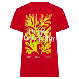 Cars jeans Top Vanya Burgundy