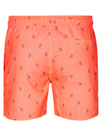 Petrol Zwembroek SWS951 Coral