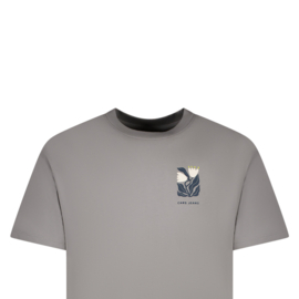 Cars jeans top Pluyo Mid grey