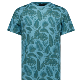 Cars jeans top Tyor Mint
