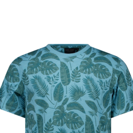 Cars jeans top Tyor Mint