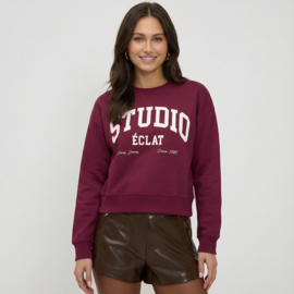 Cars jeans sweater Aura Burgundy