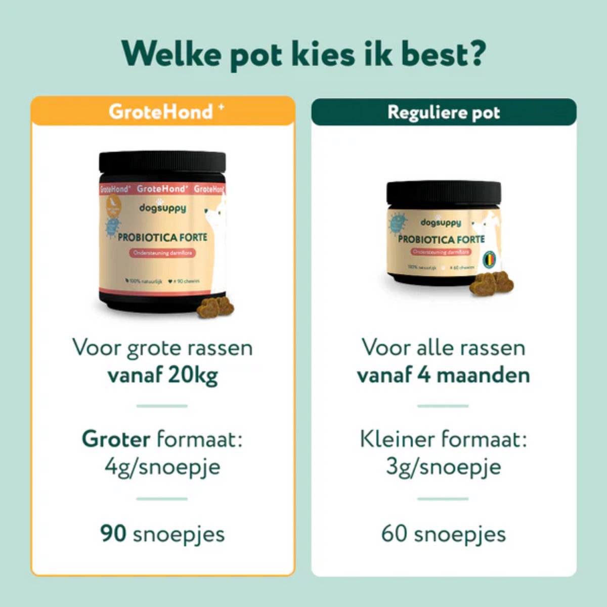 Probiotica Forte Grote Hond⁺ >20kg