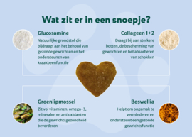 Heup & Gewrichten