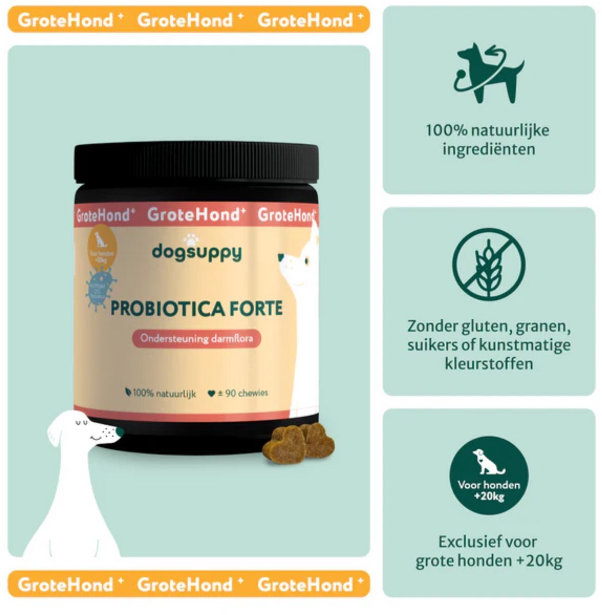 Probiotica Forte Grote Hond⁺ >20kg