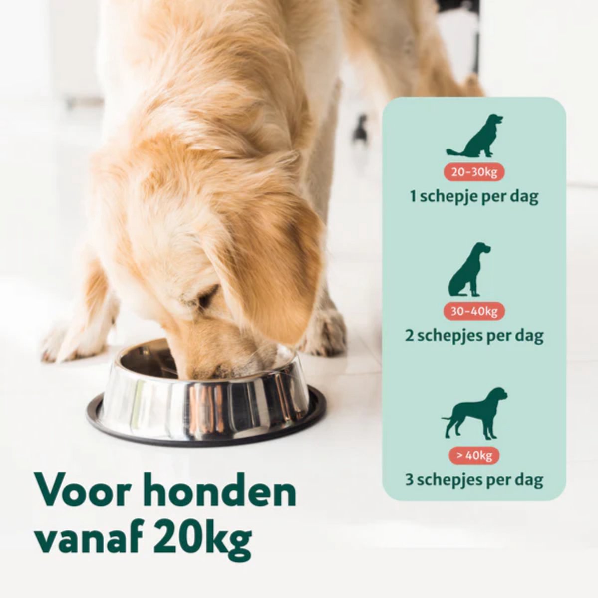 Dental Bright GroteHond⁺ >20kg