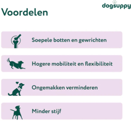 Glucosamine