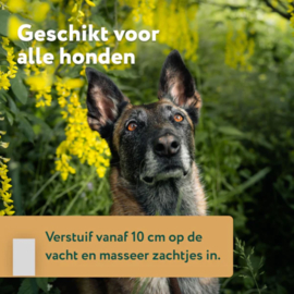 Anti-Parasiet, Vlooi en Teken