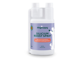 Silicium Boost