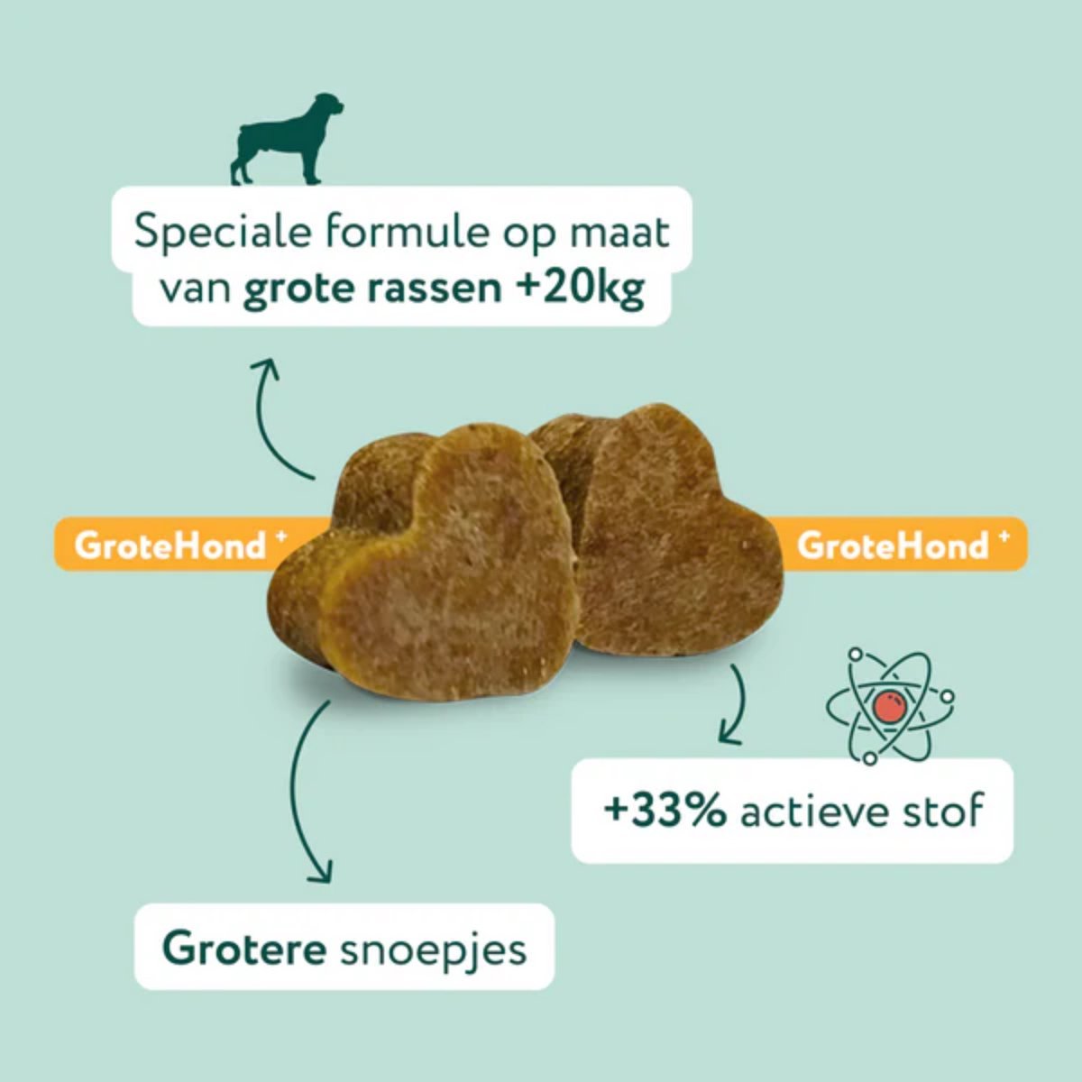 Probiotica Forte Grote Hond⁺ >20kg
