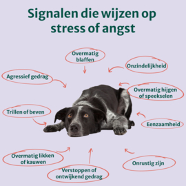 Anti-Stress & Angst