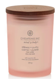 Chesapeake Bay Candle Medium Stillness & Purity