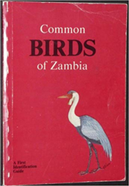 Common Birds of Zambia | Ellison, Gabriel | 1993 | Zambian Ornithological Society