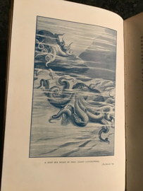 Creatures of the Sea | Frank T. Bullen |  Being the life stories of some Sea birds, beasts and fishes | engels | met 40 illustraties | 1904 |