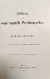 Vererbungslehre | Erwin Baur | 1922 | 5. und 6. Auflage |