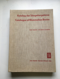 Catalogue of Mammalian Brains |Katalog der Säugetiergehirne |Hersenen van Zoogdieren|Brauer |Kurt Wilfried Schober|1970