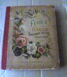 Flora voor dames: handleiding tot het bloemen maken | Dl. 1 | 1890 | 4de druk | Uitgeverij De Erven/F. Bohn |