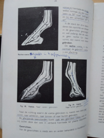 Hoefkunde en Hoefbeslag | Kroon en Gallandat Huet | v.d. Plank | 1953