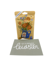 Leukste Leidster