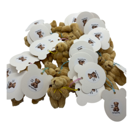 Teddybeer - het was beregezellig- mini