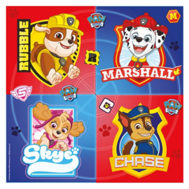 Paw Patrol Party in a box
