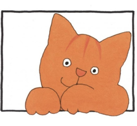 Dikkie Dik uitdeelboekje