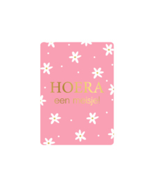 Hoera een meisje!