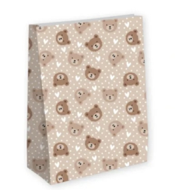 Kraamcadeau zak (groot)Little Bear