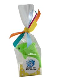 Traktatie Dolfijn - "Ik vond het hier dolfijn"