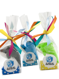 Traktatie Dolfijn - "Ik vond het hier dolfijn"