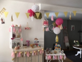 Inspiratieparty