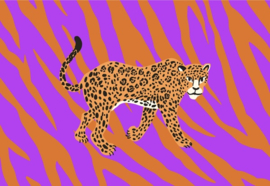 Wild Tijger