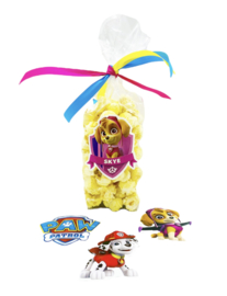 PAW Patrol popcorn