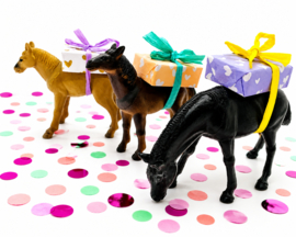 Paarden traktatie