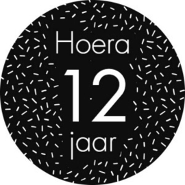 12 jaar