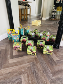 Dino goodiebags