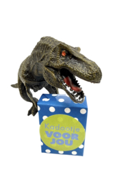 Dino traktatie kant en klaar