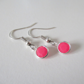 Zilverkleurige kleine roze oorbellen