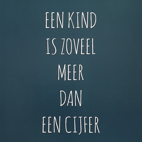 Intelligentieonderzoek Intelligentieonderzoek