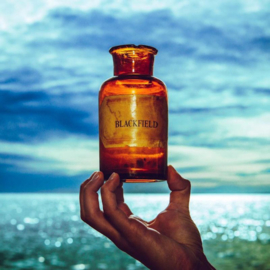 Blackfield -  V CD