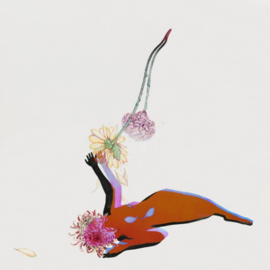 Future Islands - The Far Field CD