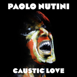 Paolo Nutini - Caustic Love CD