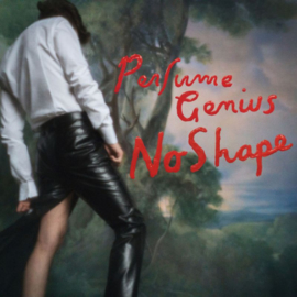 Perfume Genius - No Shape CD
