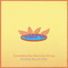 Bombay Bicycle club - Everything Else Has Gone Wrong CD