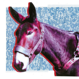 Protomartyr - Ultimate Success Today CD Release 17-7-2020