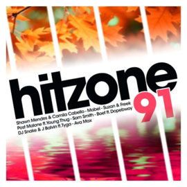 V/ A - Hitzone 91 CD