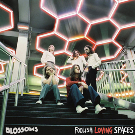 Blossoms - Foolish Loving Spaces CD Release 31-1-2020