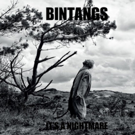 Bintangs - It's A Nightmare