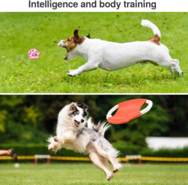 Puppy speelgoedset 10-delig